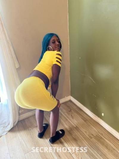 30 year old Escort in West Palm Beach FL Sexy an super wet slim