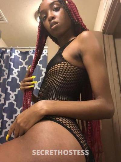 Ebony 21Yrs Old Escort South Jersey NJ Image - 3