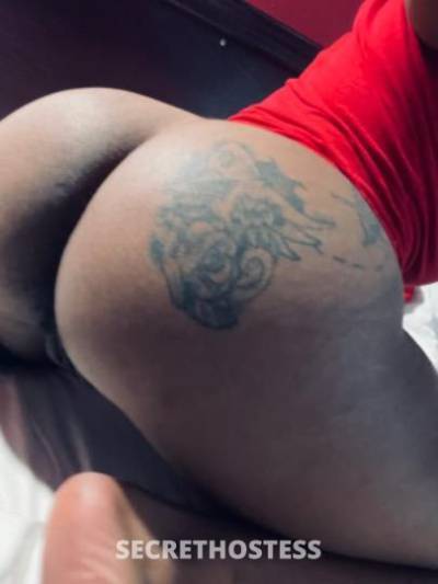 KashCardi 29Yrs Old Escort Detroit MI Image - 3