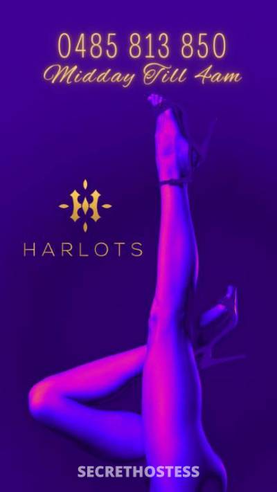 18 year old Australian Escort in Mackay Hottest Babes In FNQ - Harlots Mackay