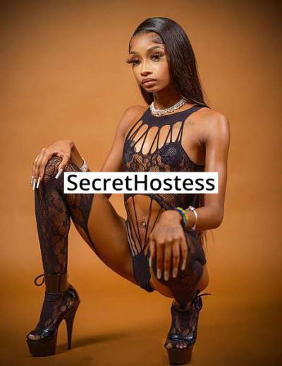 21 year old American Escort in Washington DC Rose Monroe
