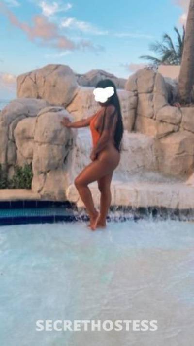 23Yrs Old Escort Palm Bay FL Image - 1