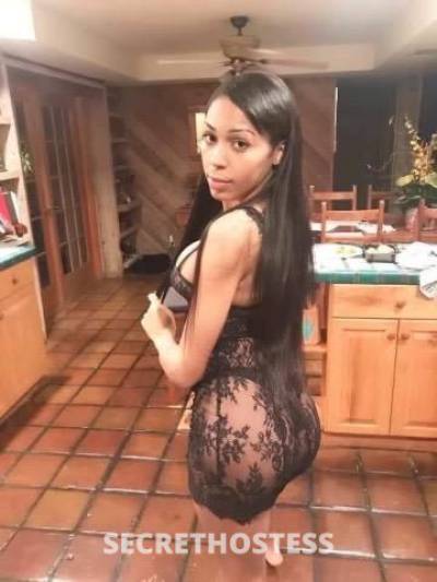 27 Year Old Escort Chicago IL - Image 3