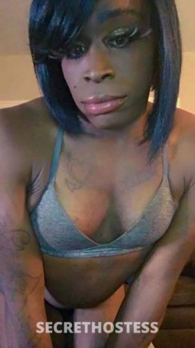 31Yrs Old Escort Cleveland OH Image - 0