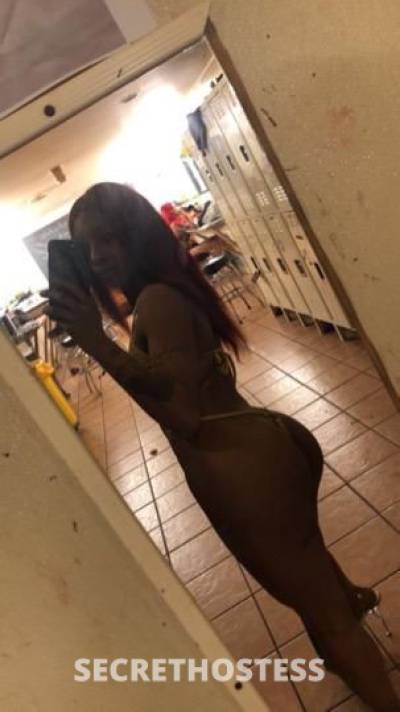 23Yrs Old Escort 162CM Tall Northwest Georgia GA Image - 2