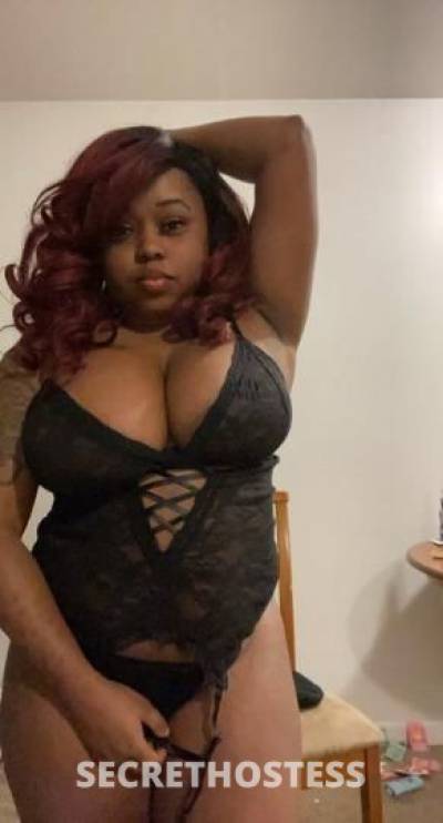 24Yrs Old Escort Elmira NY Image - 2