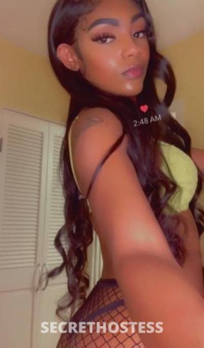 24Yrs Old Escort San Francisco CA Image - 1