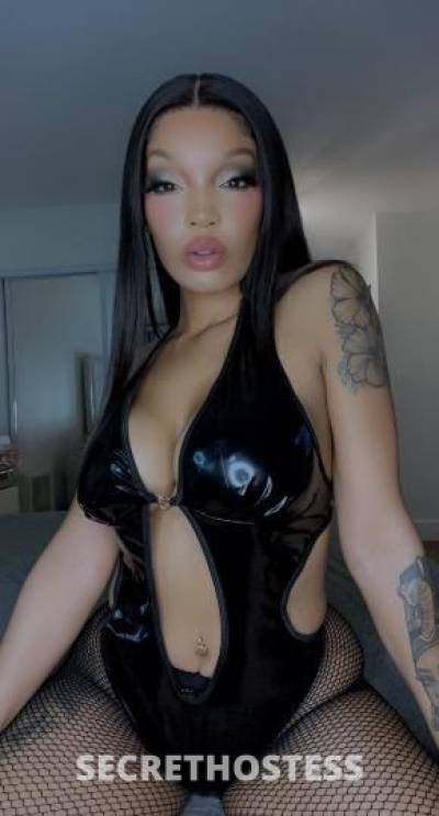 25 Year Old Escort Los Angeles CA Brown eyes - Image 2