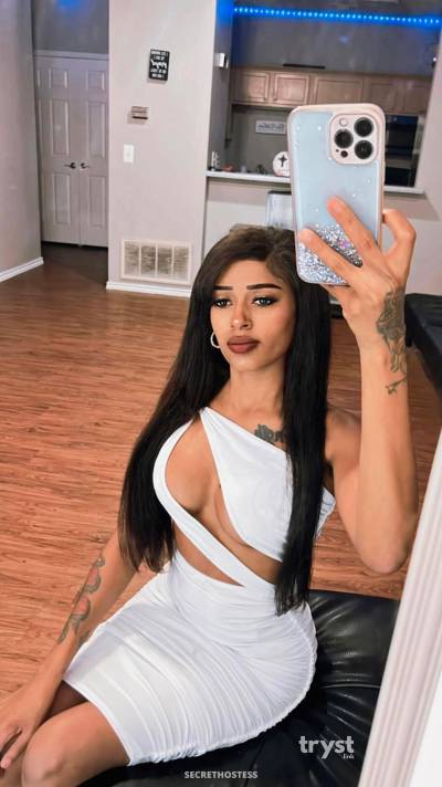 Ashley 20Yrs Old Escort Size 6 157CM Tall Dallas TX Image - 13