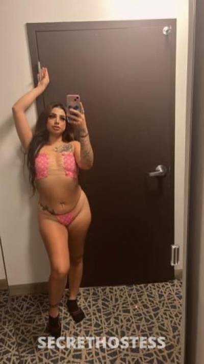 24Yrs Old Escort Dallas TX Image - 1