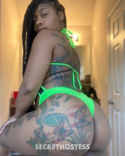 24 year old Latino Escort in Albany GA Beautifull local Milf Latina Girl looking for Hotel or Car 