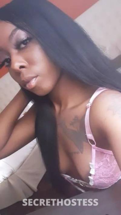 26 year old Mexican Escort in Atlanta GA No deposit needed incall valentines special 100 come drink 