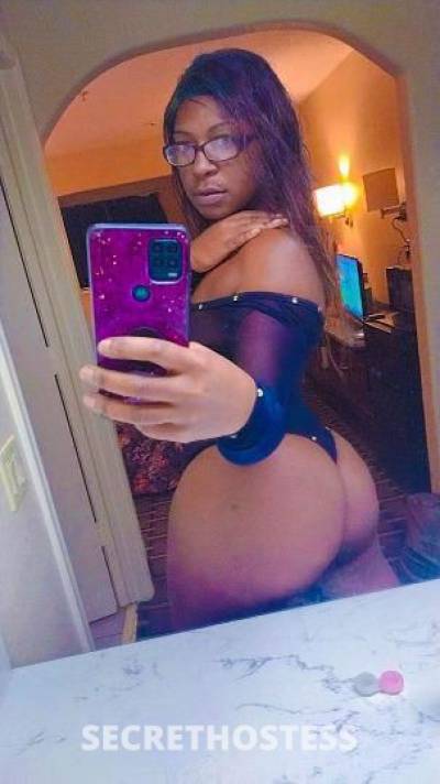 Cali 26Yrs Old Escort Houston TX Image - 3