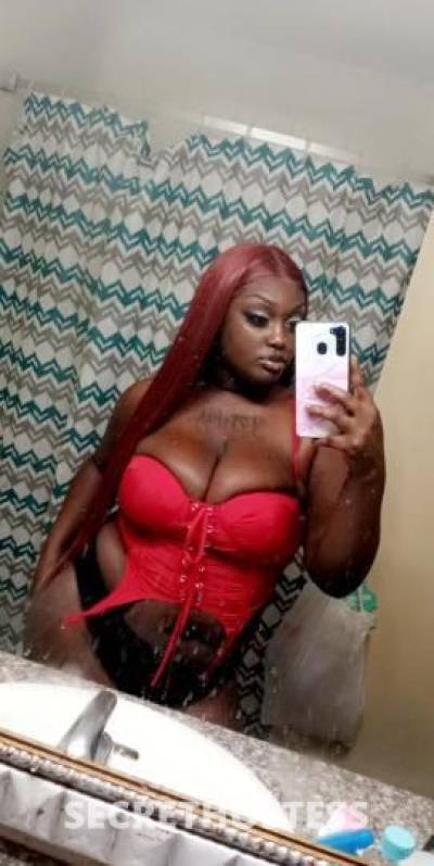 CreamChocolate 23Yrs Old Escort Dallas TX Image - 0