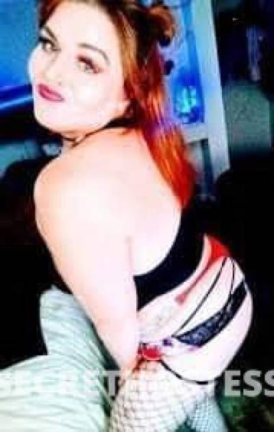 Brooke 29Yrs Old Escort Little Rock AR Image - 0