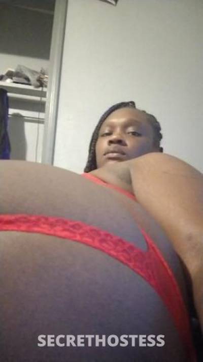 Nikki 32Yrs Old Escort Tulsa OK Image - 0