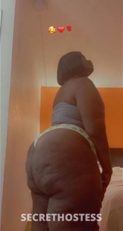 BigBooty 30Yrs Old Escort Toledo OH Image - 0