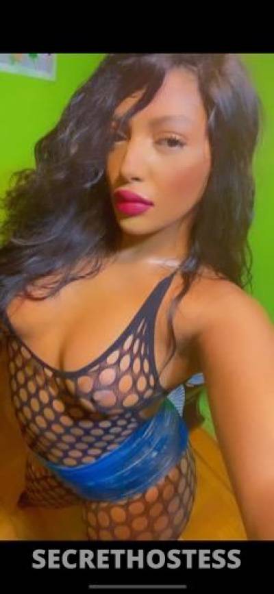 24 Year Old Dutch Escort Manhattan NY - Image 9