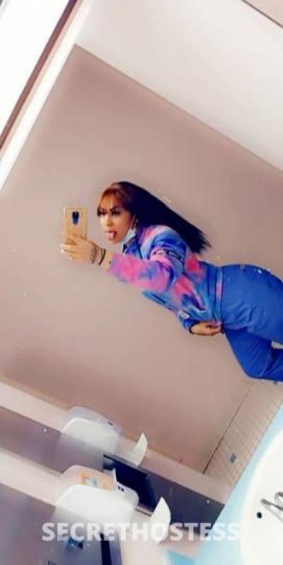 Cheekie 25Yrs Old Escort Rochester NY Image - 7