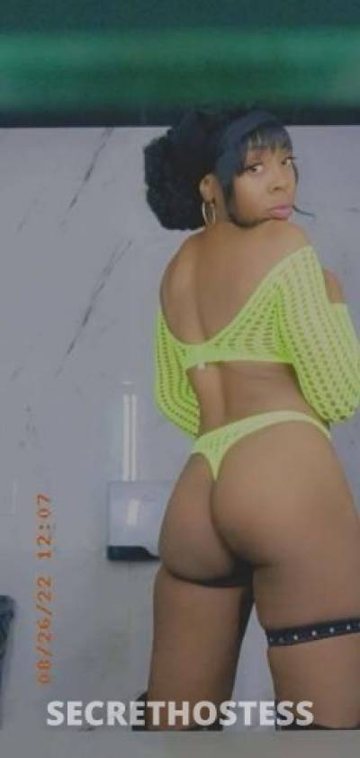 LAYLA 25Yrs Old Escort Toledo OH Image - 2