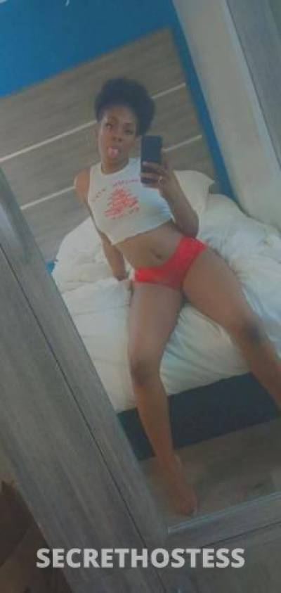 LAYLA 25Yrs Old Escort Toledo OH Image - 5