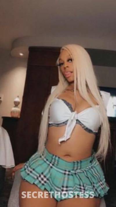 28 year old Escort in South Bend IN New baddie in town
