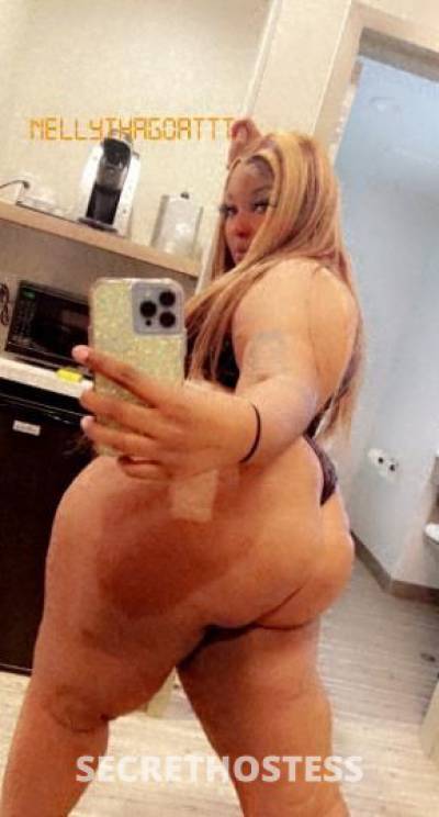 Janelleredd 23Yrs Old Escort Austin TX Image - 1