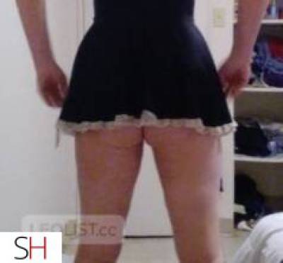 36Yrs Old Escort 167CM Tall Sault Ste Marie Image - 10