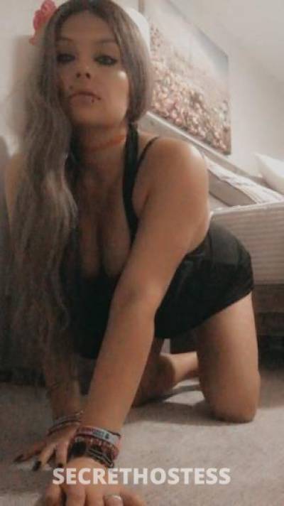 Sadie 30Yrs Old Escort Austin TX Image - 3