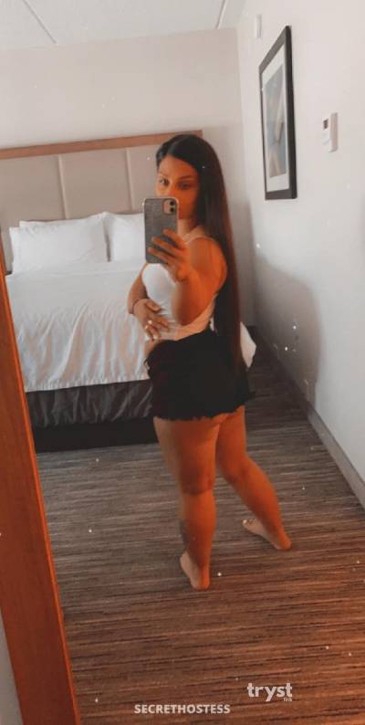 20 Year Old American Escort Phoenix AZ Brunette - Image 2