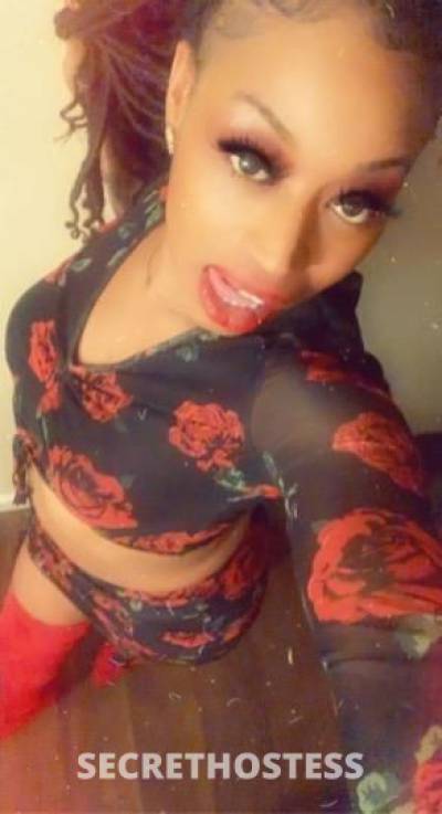 25Yrs Old Escort Sacramento CA Image - 2