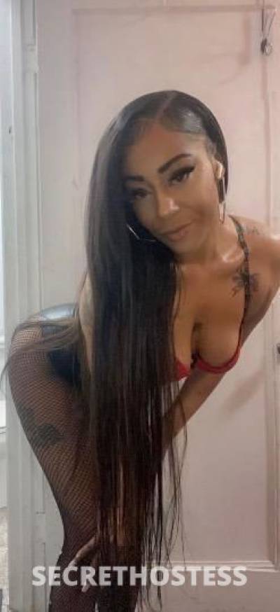 26 year old Cuban Escort in San Fernando Valley CA Sexy exotic cubanita
