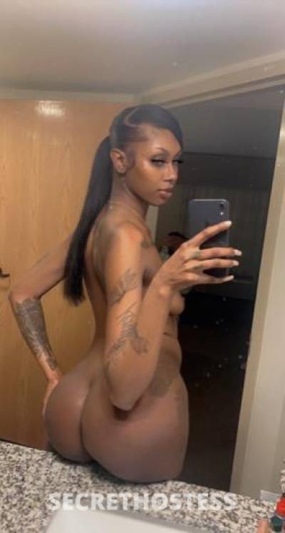 Skylaa 23Yrs Old Escort Austin TX Image - 2