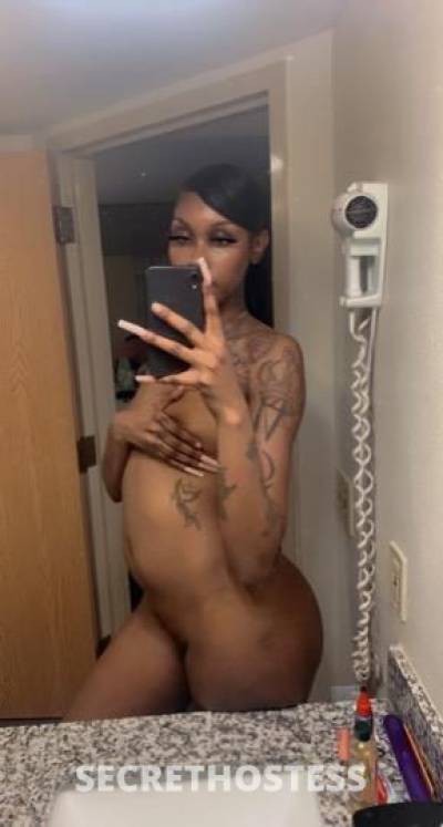 Skylaa 23Yrs Old Escort Austin TX Image - 3