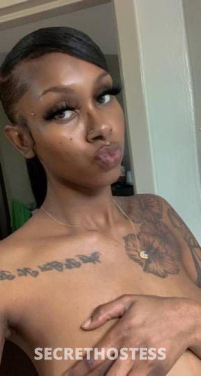 Skylaa 23Yrs Old Escort Austin TX Image - 4