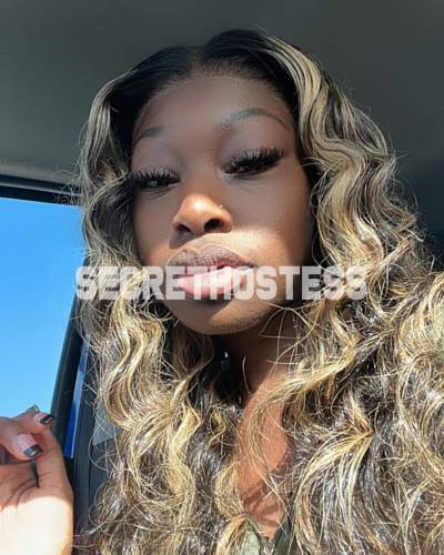 22 year old Islander Escort in Austin & San Antonio TX Dream