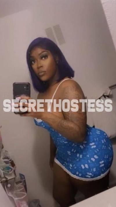 25Yrs Old Escort Dallas TX Image - 9