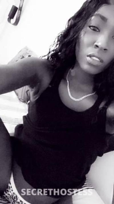 ChanelDiamond/Hershey 23Yrs Old Escort Knoxville TN Image - 10