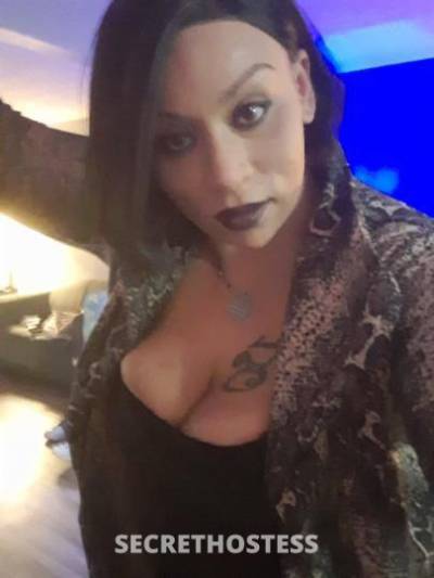 Honey 36Yrs Old Escort Memphis TN Image - 8