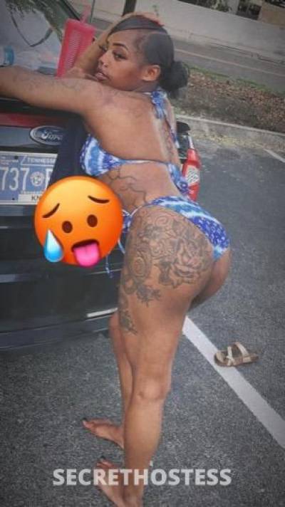 Mochaa 25Yrs Old Escort 157CM Tall Knoxville TN Image - 1