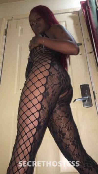 Kashh 24Yrs Old Escort Clarksville TN Image - 2