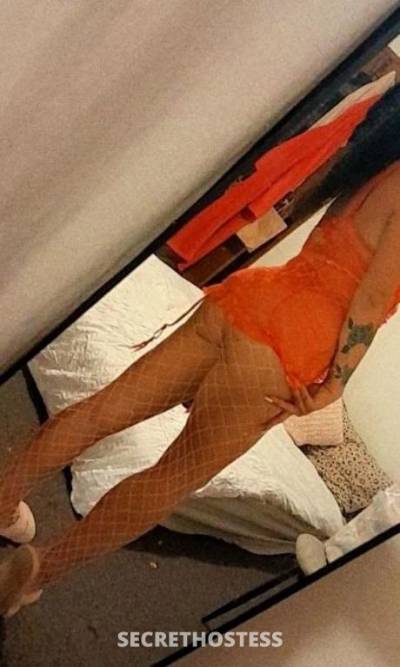 23 year old Escort in Wollongong Young sex kitten – 23
