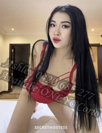 Ashley 26Yrs Old Escort Geelong Image - 3