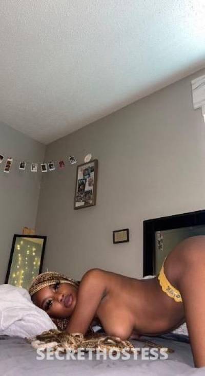 Benny🎁🎊🥵 24Yrs Old Escort Rapid City SD Image - 1