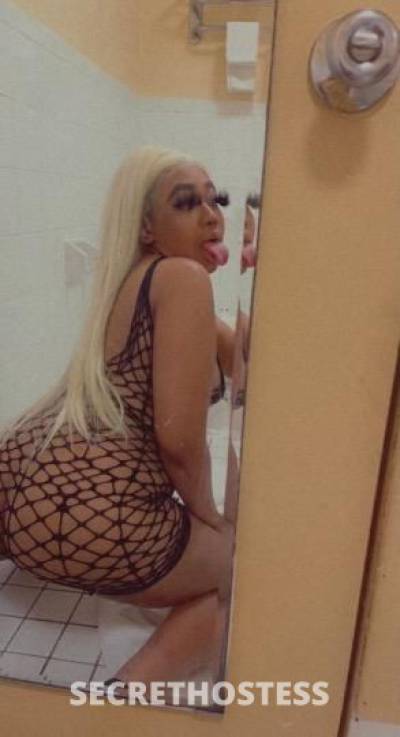 24Yrs Old Escort Queens NY Image - 0