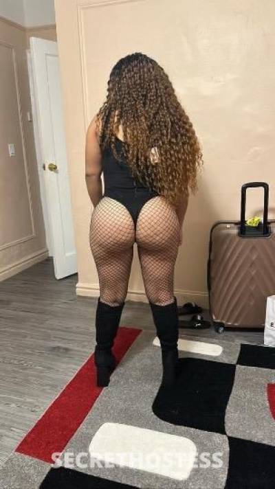 27Yrs Old Escort Bronx NY Image - 2