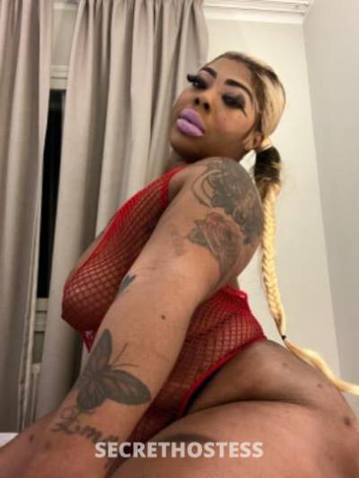 27Yrs Old Escort Bronx NY Image - 0