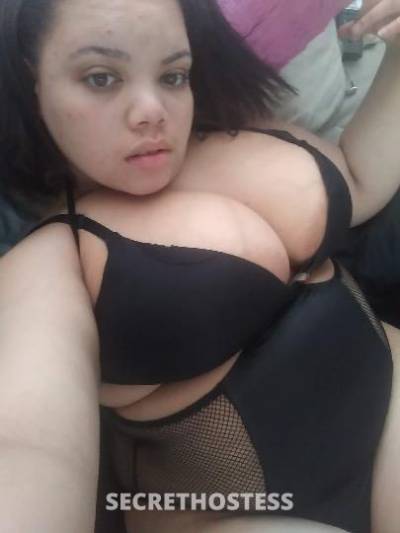 27Yrs Old Escort South Jersey NJ Image - 0