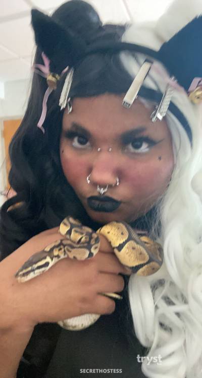 20Yrs Old Escort Size 10 157CM Tall Costa Mesa CA Image - 1