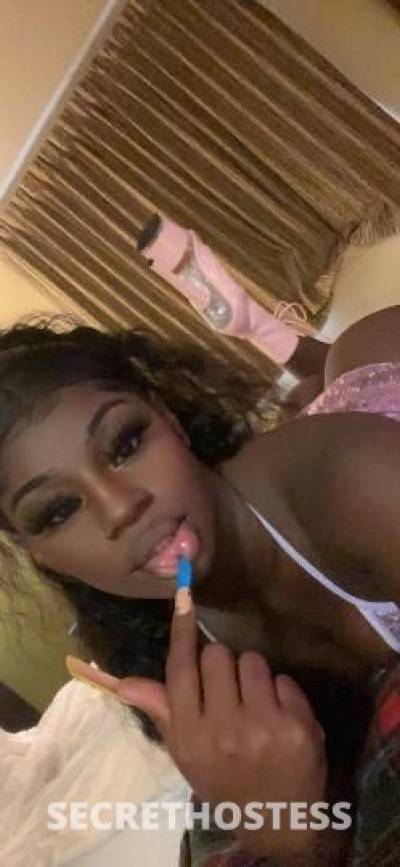 22 year old Escort in Charlotte NC SLOPPY JOES Only